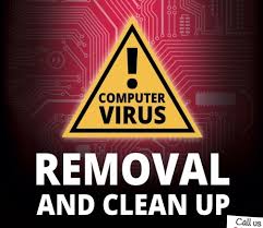 Virus/Malware Removal